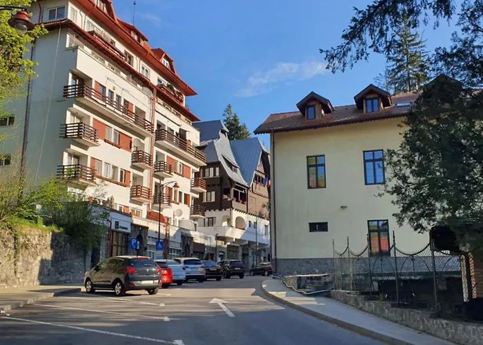 Garsoniera Parc Ultracentral
