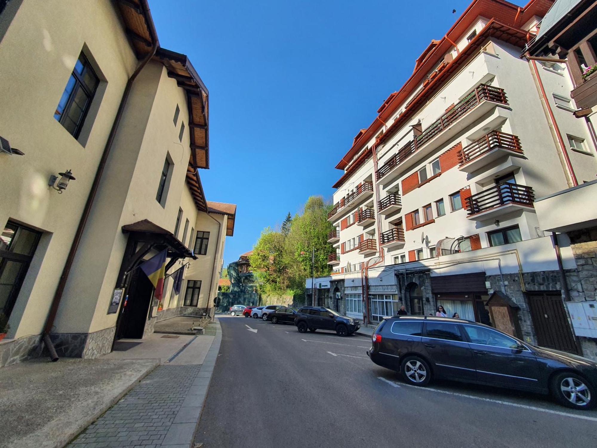 Garsoniera Parc Ultracentral Apartment