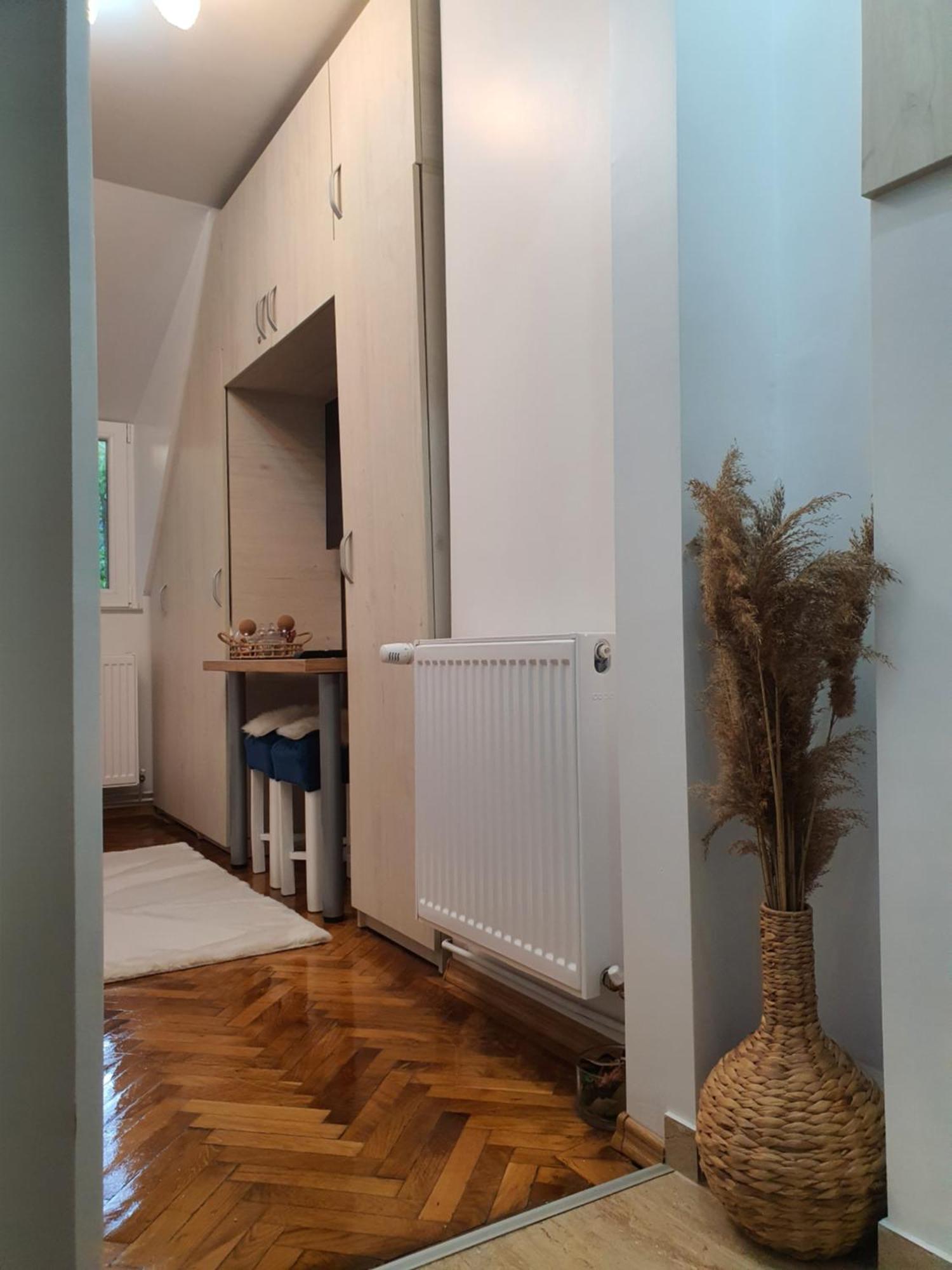Garsoniera Parc Ultracentral Apartament Sinaia