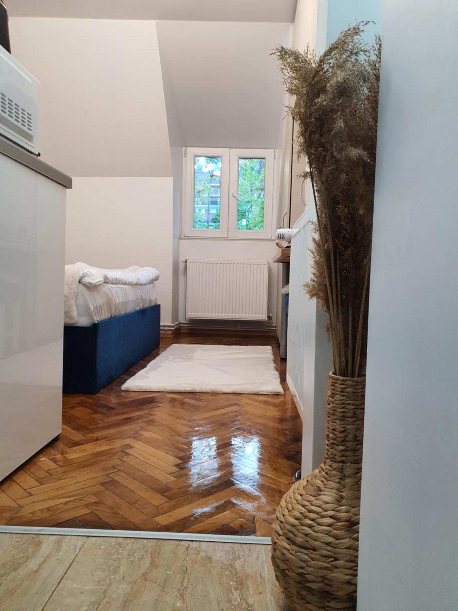 Apartament Garsoniera Parc Ultracentral Sinaia